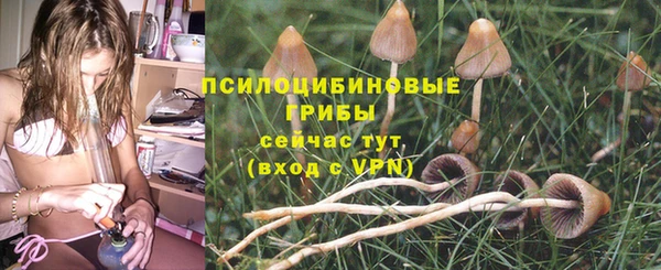 гидропоника Ладушкин