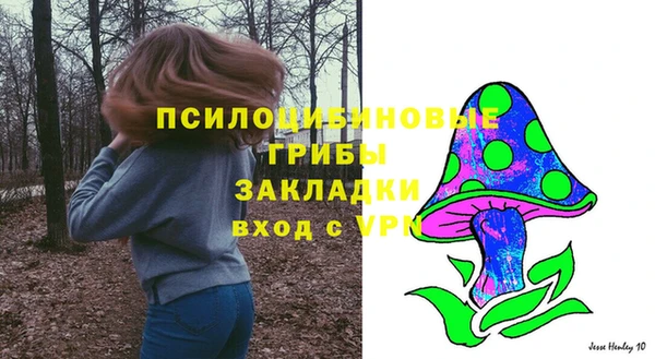 индика Дмитровск