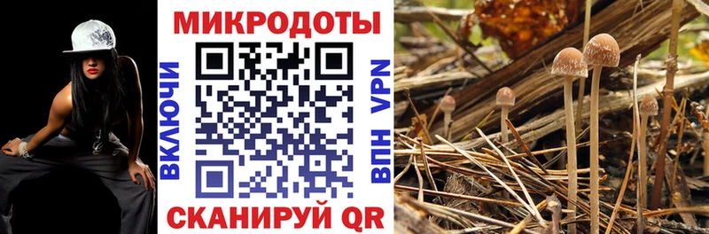 Галлюциногенные грибы ЛСД  цены наркотик  Зима 