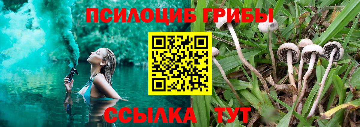 Псилоцибиновые грибы ЛСД Зима