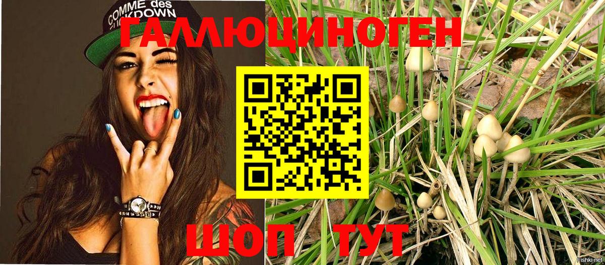 Псилоцибиновые грибы Psilocybine cubensis  закладки  Зима  Вход с VPN 