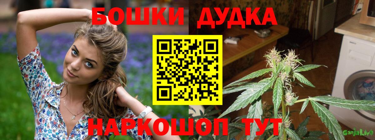 Бошки марихуана MAZAR Зима