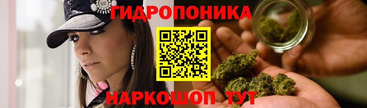 Экстази Зима